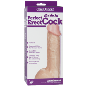 Perfect Erect Cock 7