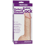 Perfect Erect Cock 7
