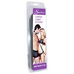Leather Collar & Leash Set
